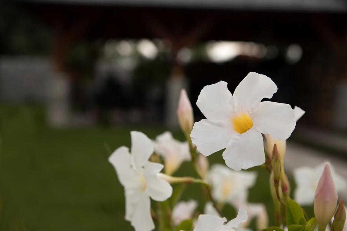 Gyori Vendeghaz Otel Demjén Dış mekan fotoğraf